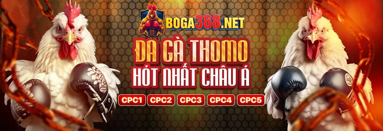 Đá gà trực tuyến kịch tính tại SC88A5